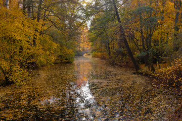 Tiergarten, Berlin