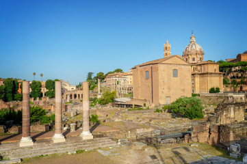 Ruins of the Roman Forum in Rome, Italy