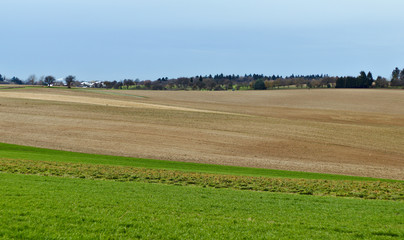 Fototapeta na wymiar Krajobraz pole i zielona trawa