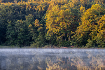 Nebel an einem Morgen im Sommer am Ukleisee, Eutin