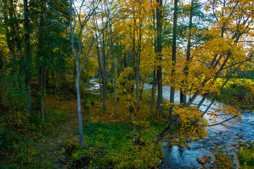 River in colorful national park at fall in Estonia