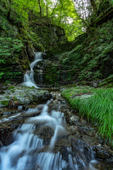 檜原村　九頭龍の滝