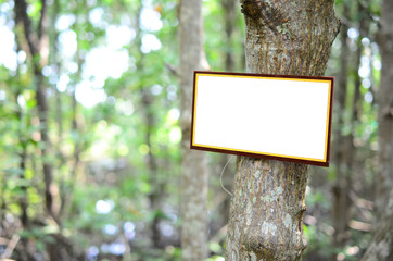 white background label on tree