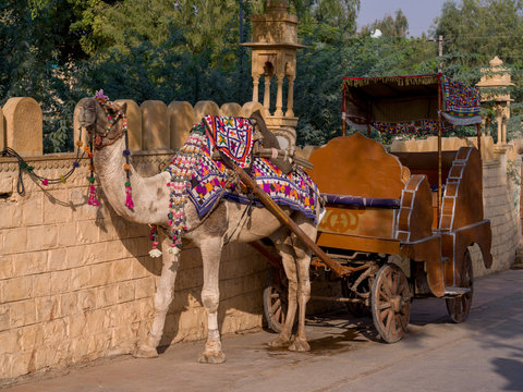 Camel drawn carriage at roadside, Gadsisar Lake, Jaisalmer, Rajasthan, India