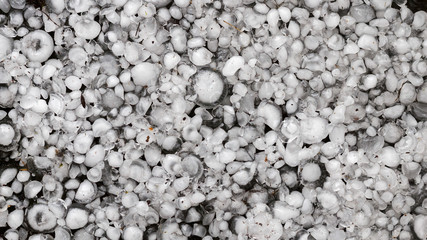 hailstones on the ground after hailstorm, hail of great size, hail sized with a larger coin
