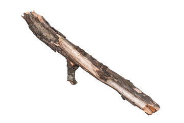 Single dry tree branch, isolated on white background. Stick tree branch from nature for design.