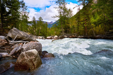 Taiga and the rough river with big stones