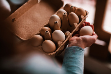 brown eggs