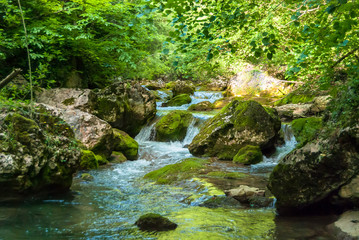 A mountain river flows in the forest with big stones