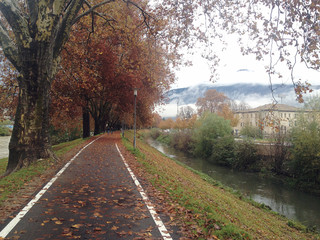 Fototapeta premium droga jesienią