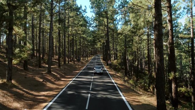 Small hybrid or completely zero emission electric car vehicle drives through epic beautiful mountain road in sun filled forest with pine trees. Concept new generation road trip