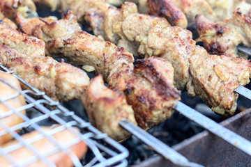 picnic. small grill. on it is cooking kebabs. shallow depth of cut. smoke and frying are real