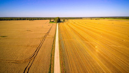 6816_A_cottage_house_in_the_middle_of_the_two_grain_fields.jpg