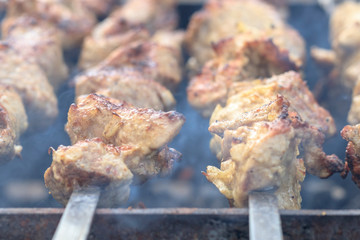 picnic. small grill. on it is cooking kebabs. shallow depth of cut. smoke and frying are real