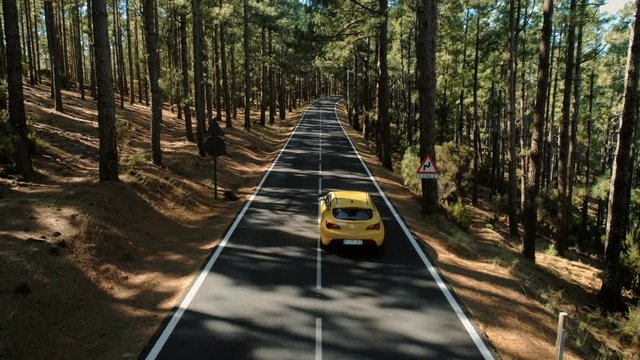 Aerial drone footage of empty mountain forest road on sunset, shadow and light game between pine trees. Yellow car drives slowly, concept vacation and roadtrip mode