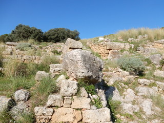 Fototapeta na wymiar ソルント考古学公園　シチリア