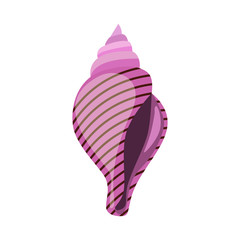 Pink sea shell with stripes illustration. Mollusc, ocean, decoration. Nature concept. Vector illustration can be used for topics like ocean, sea, design, decoration