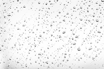 Water drops on white background