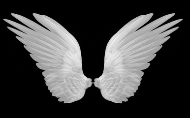 Fototapeta na wymiar white wings on black background