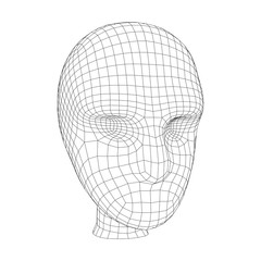 Human head medical scan. Model wireframe low poly mesh vector illustration