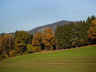 Fields, meadows, forest, wonderful landscape