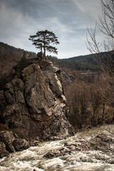 One wood on top of stone near the river and monument dedicated to the victims of WWI. River Ibar in Serbia near the Raska town.