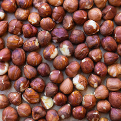 Pile of hazelnuts on the wooden table - Image