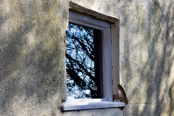 UPVC white window on derelict building awaiting demolition with reflection of trees in glass