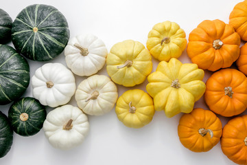 Colorful pumpkins on a white background, creative flat lay thanksgiving concept, top view