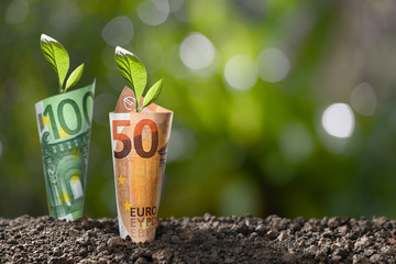 Image of EURO money banknotes with plant growing on top for business, saving, growth, economic...