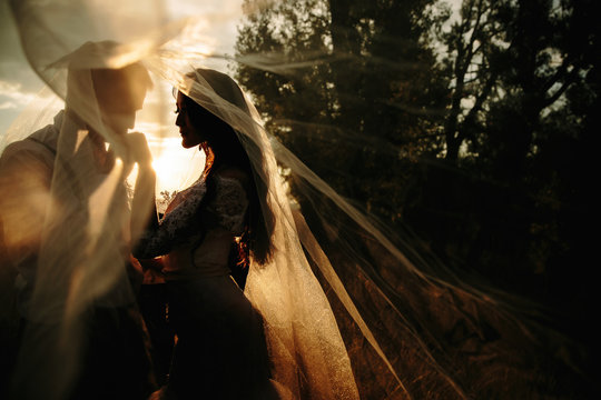 A bride and groom embrace under a veil. Close up abstract silhouette image of a man and woman in a romantic lovers moment.