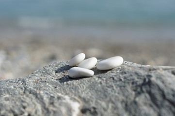 meditation atmosphere four littel white stones in sunlight with shadow on the beach grey blue...