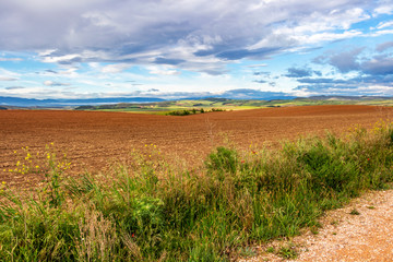 Beautiful May agricultural landscape on the Camino de Santiago, Way of St. James between Los Arcos and Sansol in Navarre, Spain