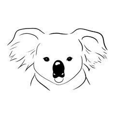 koala line vector illustration