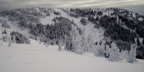 Snow Ghosts in Sun Peaks Resort, Sun Peaks, Kamloops, British Columbia, Canada