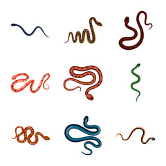 Vector design of poison and evil logo. Collection of poison and bite stock symbol for web.