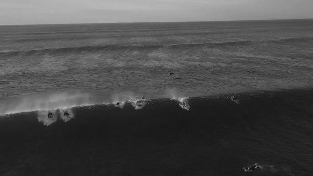 Surfer Beash Wave Black And White