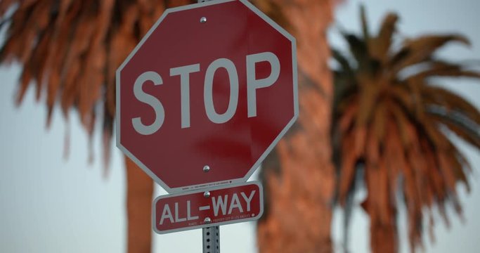 Stop sign with palm trees behind panning up to reveal sign