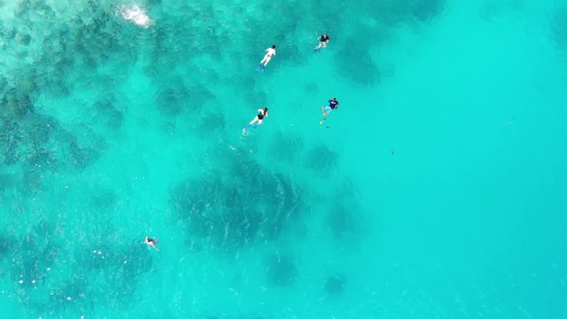 Snorkelers over reef in Seychelles