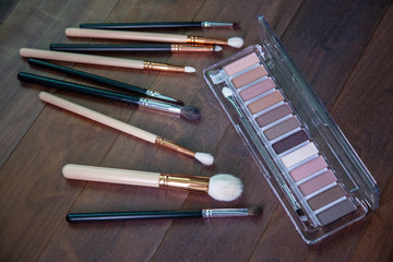 a set of professional makeup and shadow brushes