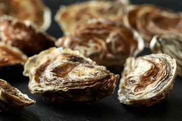 Fresh Oysters on rustic stone board. ready to open and eat