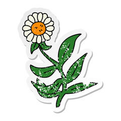 distressed sticker of a quirky hand drawn cartoon daisy flower