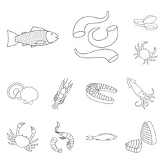 Vector design of food and sea logo. Collection of food and healthy stock symbol for web.