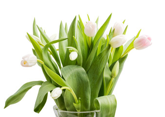 Bouquet of tulips in delicate white and pink color
