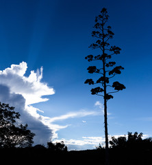 Paisagem ao entardecer em Conceição de Mato Dentro,MG.