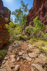 hiking down in weano gorge in karijini national park, western australia 10