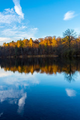 Trees of forest at lakeside reflected in lake water in warm sunset light