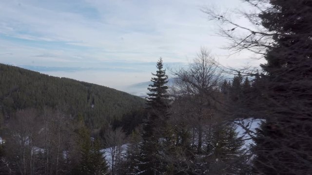 View of a snowy wooded area seen from a chairlift