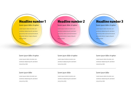 Infographic with 3 Circles