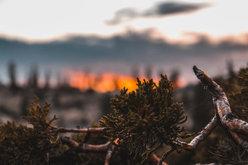 Sunset in California